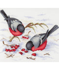 Winter Berries SNV-639 MP Studio