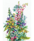 Wildflowers SANP-50 Andriana