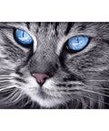 Diamond painting kit Blue-Eyed Cat WD2517