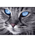 Diamond painting kit Blue-Eyed Cat WD2517