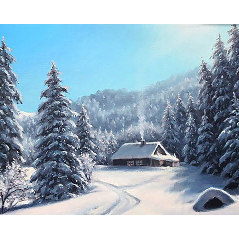 Diamond painting kit Winter day WD2610