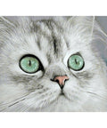 Diamond painting kit Magnetic eyes 40*30 cm WD3000