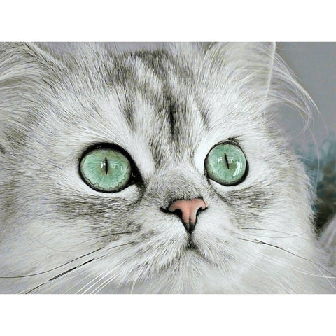 Diamond painting kit Magnetic eyes WD3000