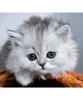 Diamond painting kit Little fluffy 40*30 cm WD3001