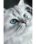 Diamond painting kit Cat eyes 20*30 cm WD3003