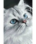 Diamond painting kit Cat eyes WD3003