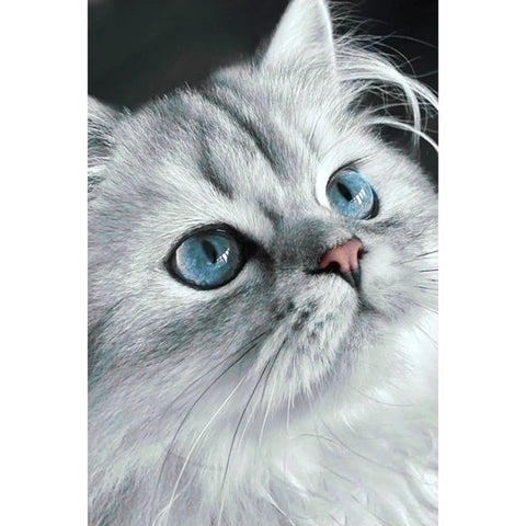Diamond painting kit Cat eyes WD3003