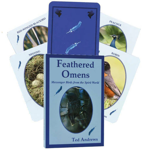 Feathered Omens Spiritual Cards Dragonhawk Publishing