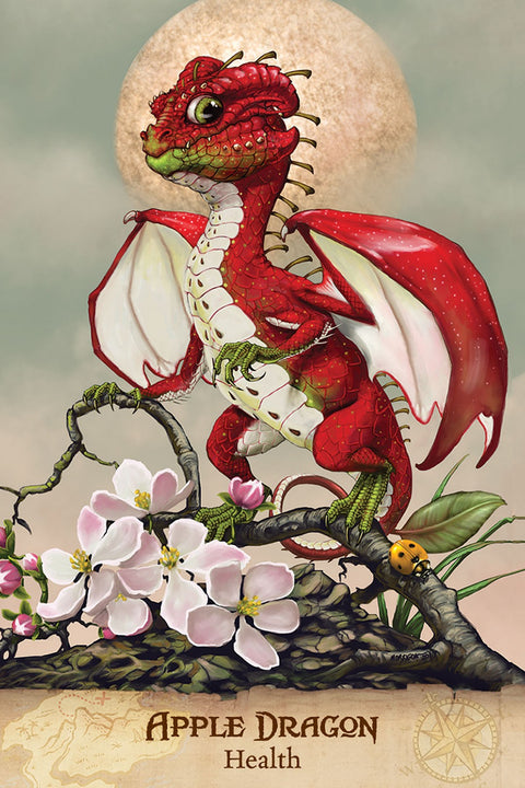 Field Guide To garden Dragons Tarot Cards Deck US Games Systems