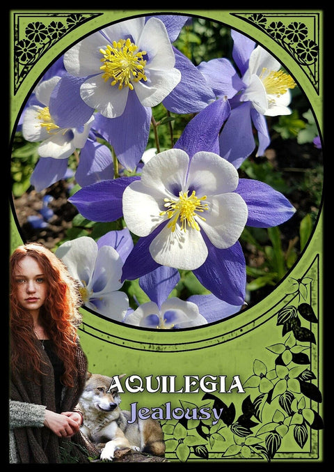 Flower Magic Oracle Cards Solarus