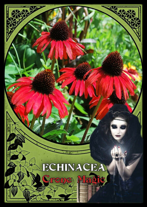 Flower Magic Oracle Cards Solarus