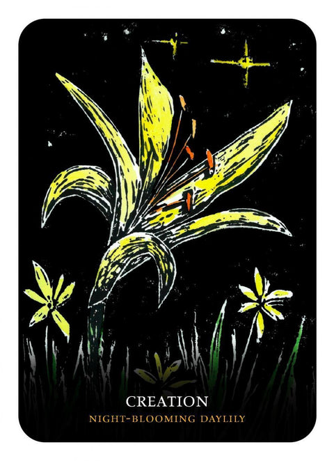 Flowers Of The Night Oracle cards Rockpool