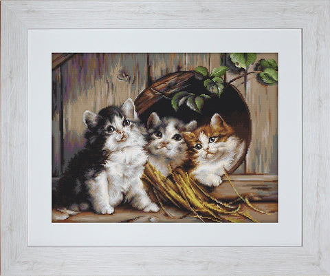 Friendly Shelter SG520 - Cross Stitch Kit by Luca-s