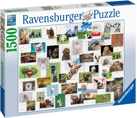 Funny Animals Collage 1500 Piece Puzzle