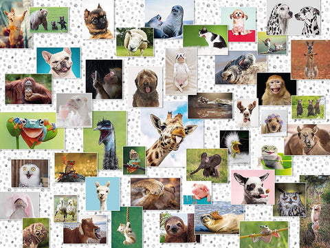 Funny Animals Collage 1500 Piece Puzzle