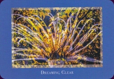 Gaias Vision Oracle Cards Schiffer Publishing