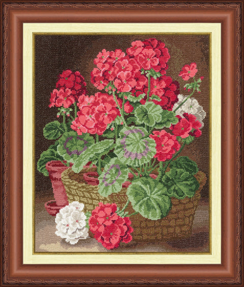 Geranium S/LTS057