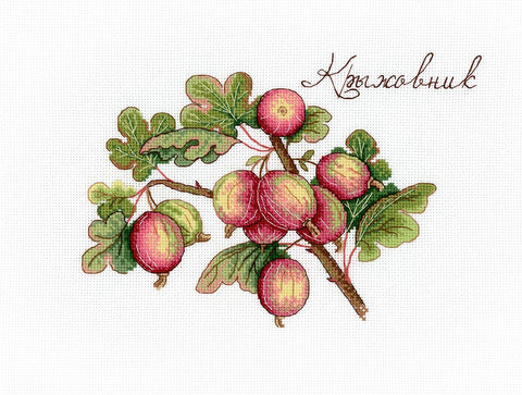 Gooseberry SNV-634 cross stitch kit by MP Studio