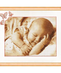 SV025 Flying in a dream Cross Stitch Kit from Golden Fleece