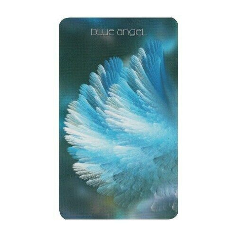 Healing Light and Angel Cards Tarot Cards Schiffer Publishing