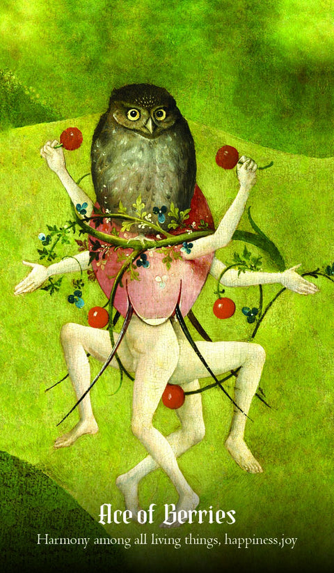 Hieronymus Bosch Tarot cards Rockpool