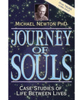 Journey of Souls book Llewellyn