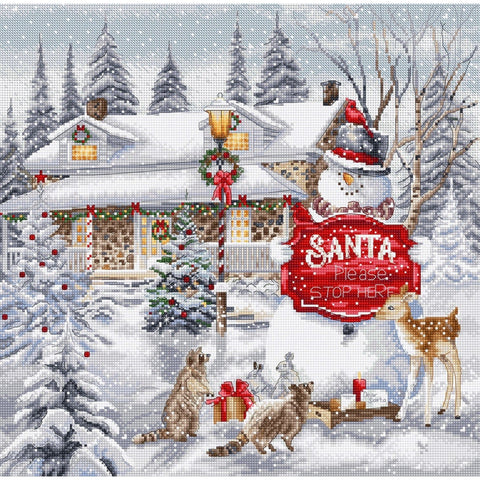 Cross stitch kit