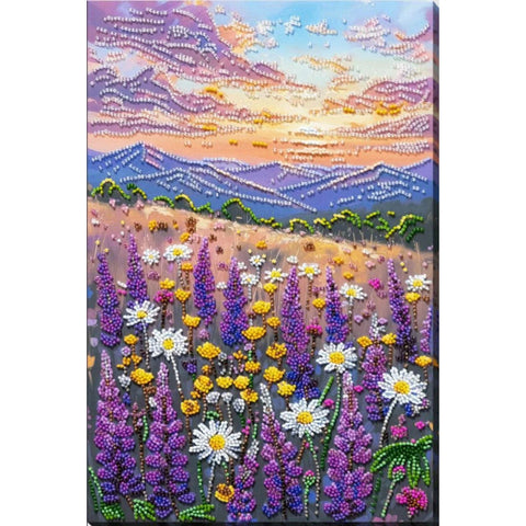 Cross stitch kit