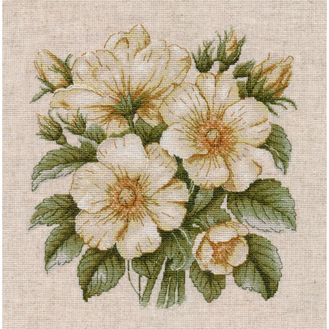 Embroidery Kit