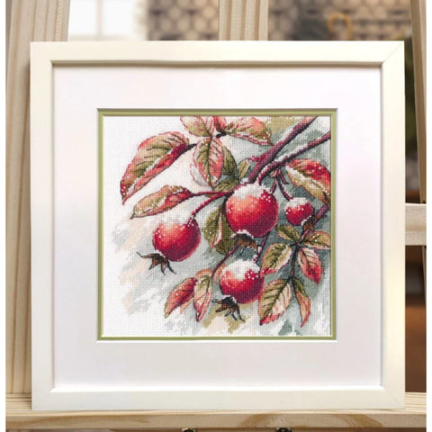 Embroidery Kit