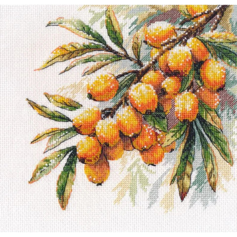 Embroidery Kit