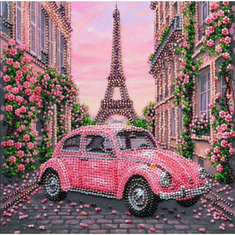 Bead Embroidery Kit La Vie en Rose