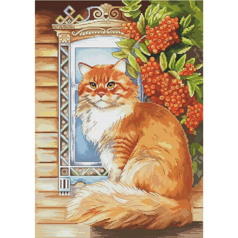 Cross stitch kit
