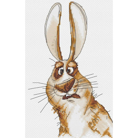 Cross stitch kit