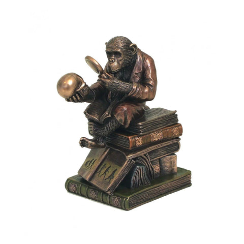 Darwin Ape Evolution Bronze Resin Statue, 17cm Handmade Italian Decor