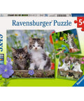 Cuddly Kittens - Puzzle 3X49 - Hobby.lt