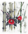 Camellias Cross Stitch Kit