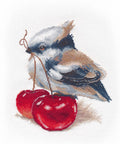 Bird Gourmet Cross Stitch Kit
