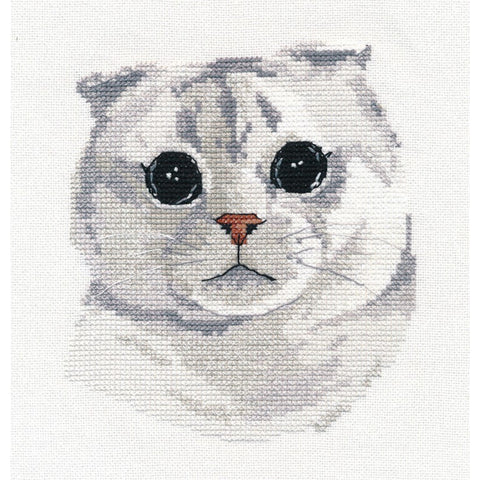 Scottish Fold Cat Cross Stitch Kit