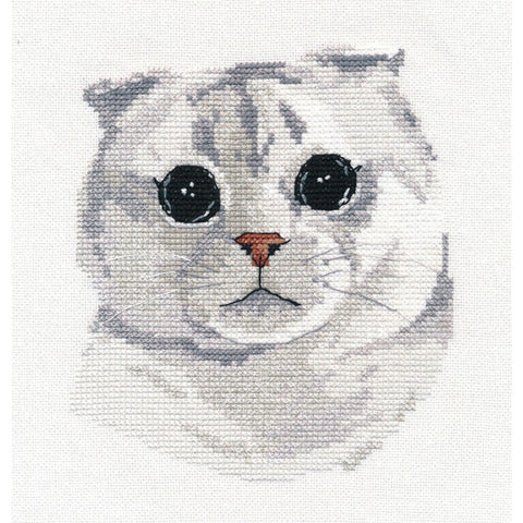 Scottish Fold Cat Cross Stitch Kit