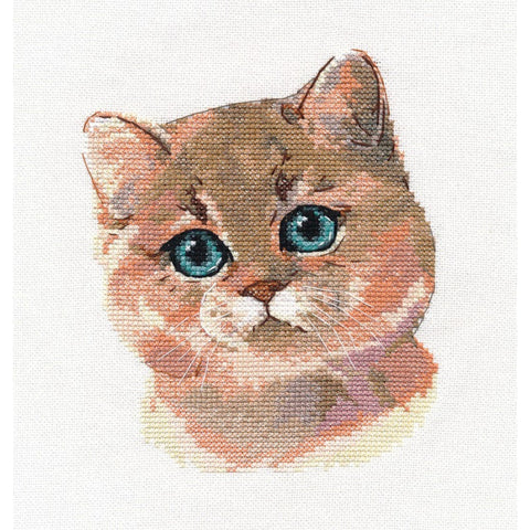 British Shorthair Cat Cross Stitch Kit