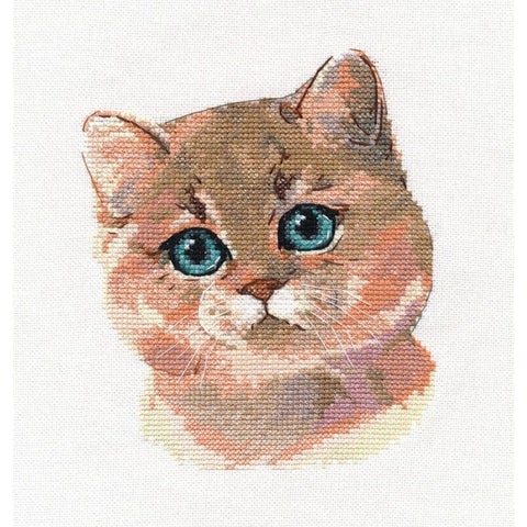 British Shorthair Cat Cross Stitch Kit