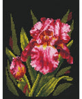 Velvet Iris SANB-15 - Cross Stitch Kit by Andriana