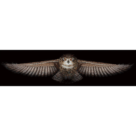 Owl SANS-44 - Cross Stitch Kit by Andriana