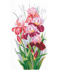Triumph Of Irises SANT-14