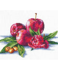 Apples And Hazelnut SANYA-03 - Cross Stitch Kit by Andriana