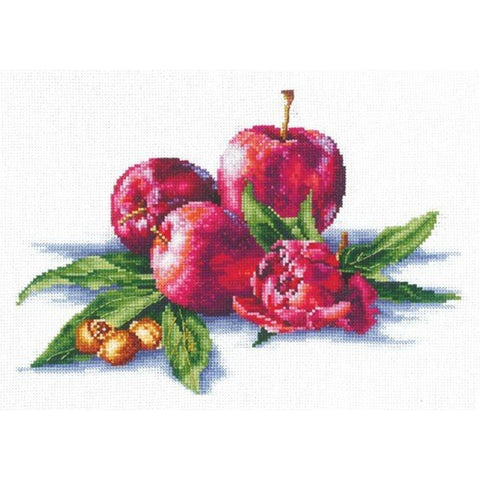 Apples And Hazelnut SANYA-03 - Cross Stitch Kit by Andriana