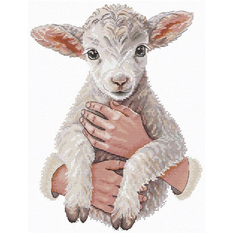 Cross stitch kit