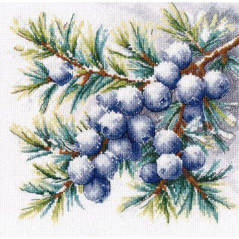 Cross stitch kit