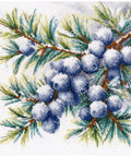 Cross stitch kit